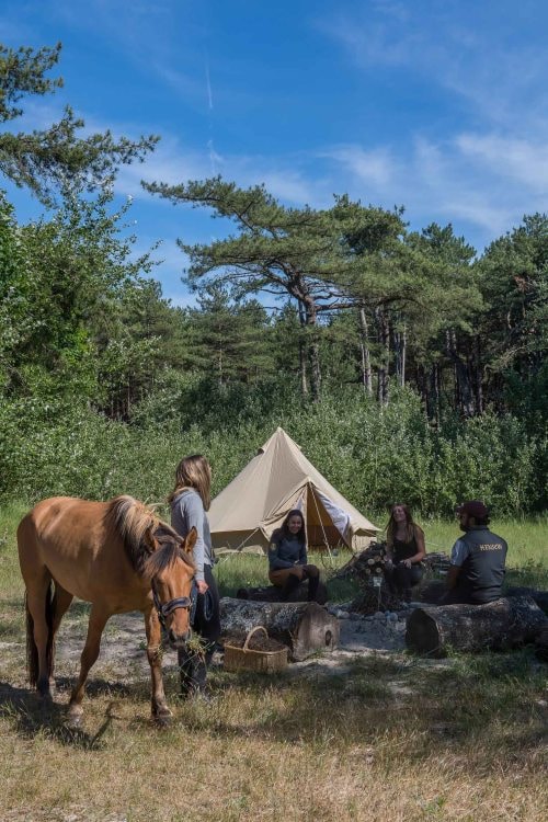 Camping Equestre 