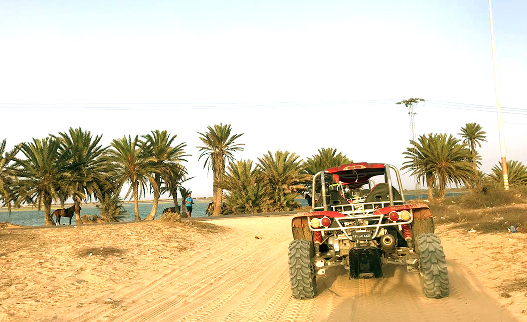 Balade en Buggy à Djerba
